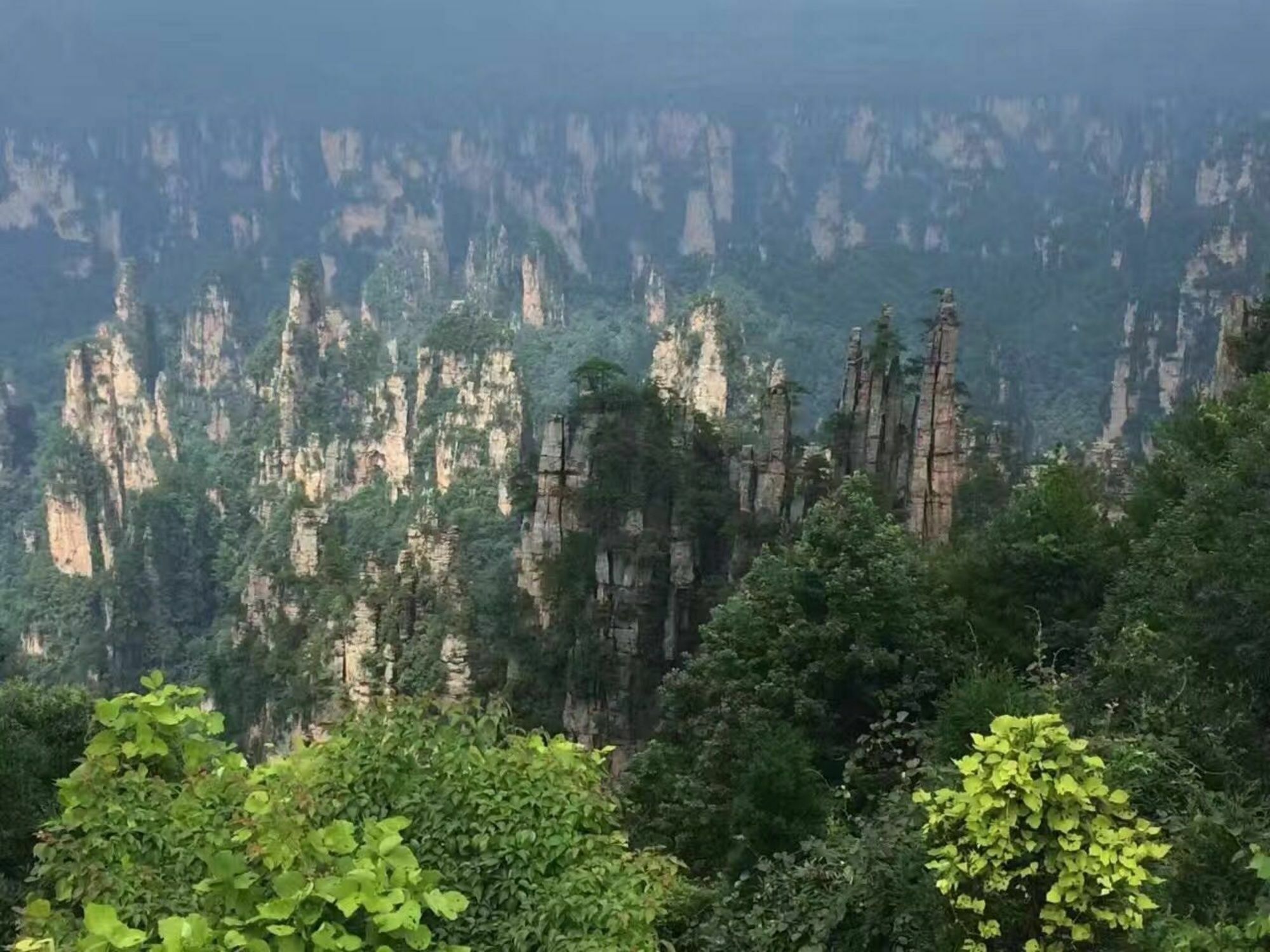 Zhangjiajie Yueranju Hostel Bagian luar foto